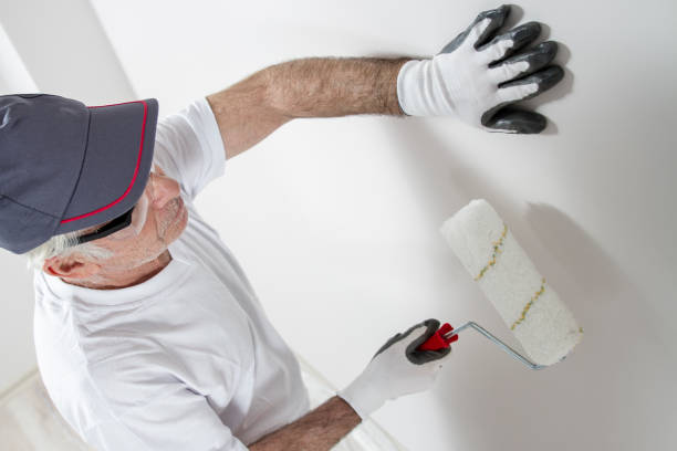 Best Mold Removal for HVAC Installations  in Knightstown, IN