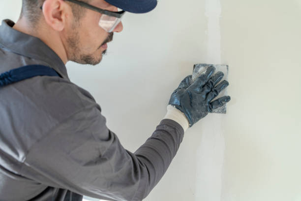 Best Post-Construction Mold Inspection  in Knightstown, IN