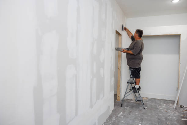 Best Black Mold Removal  in Knightstown, IN