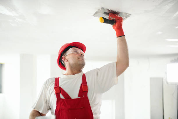 Best Mold Documentation for Insurance Claims  in Knightstown, IN