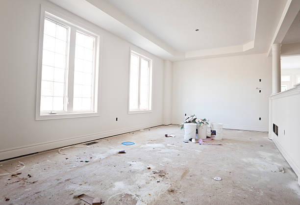 Trusted Knightstown, IN Mold Removal Experts