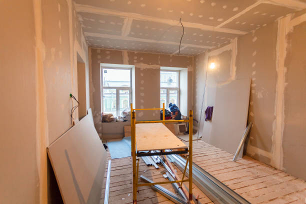 Best Mold Remediation for Rental Properties  in Knightstown, IN